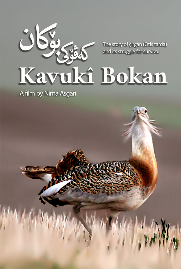 Kavuki of Bokan: film poster