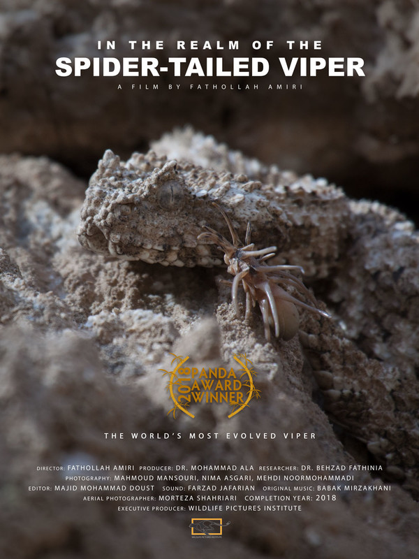 In the Realm of the Spider-tailed Viper: film poster