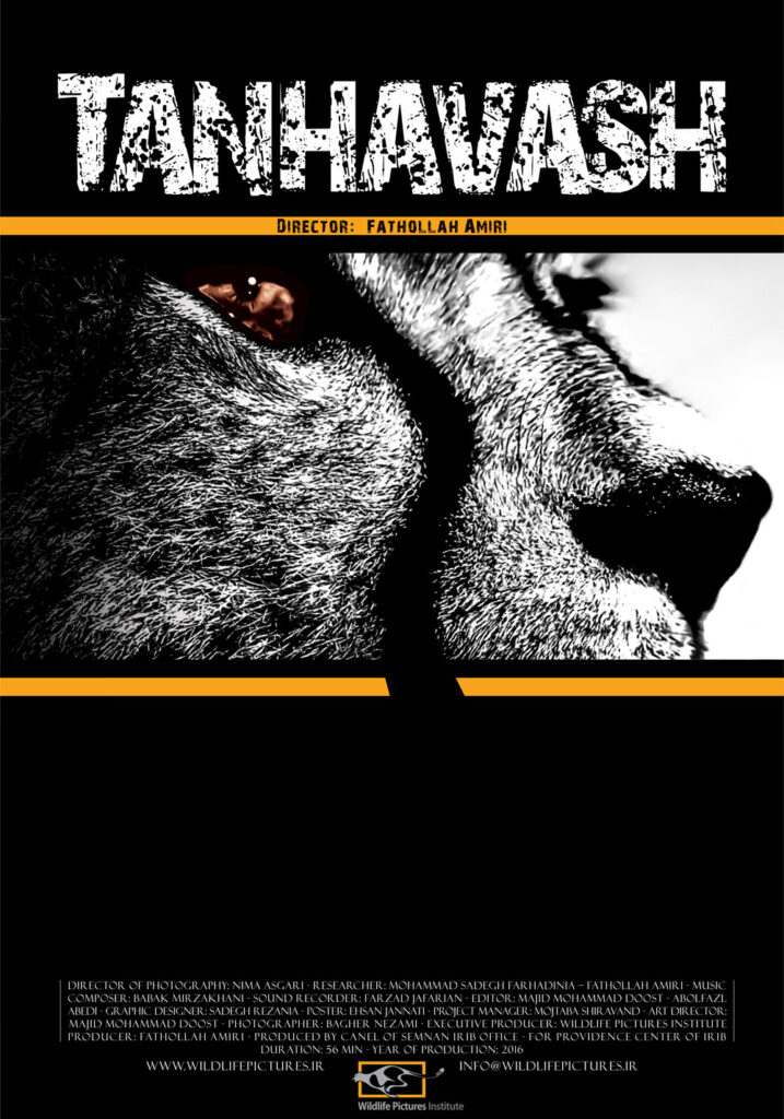 Tanhavash: film poster
