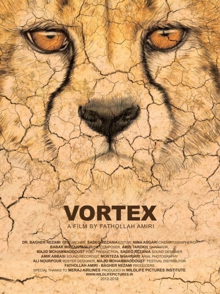 Vortex: film poster